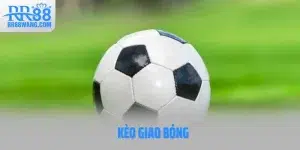 Ảnh đại diện kèo giao bóng